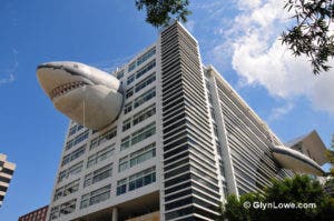 Chompie the Shark in Silver Springs, Md.