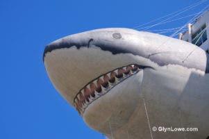 Shark Week 2019: Meet the World's Largest Inflatable Shark