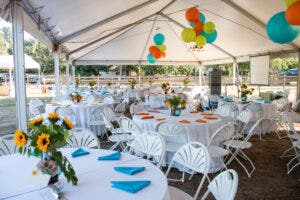 Tables, chairs, and tents are amongst the most popular party rentals