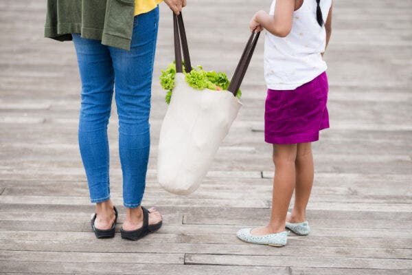 Plastic Bag Bans and the Rise of Reusable Grocery Bags